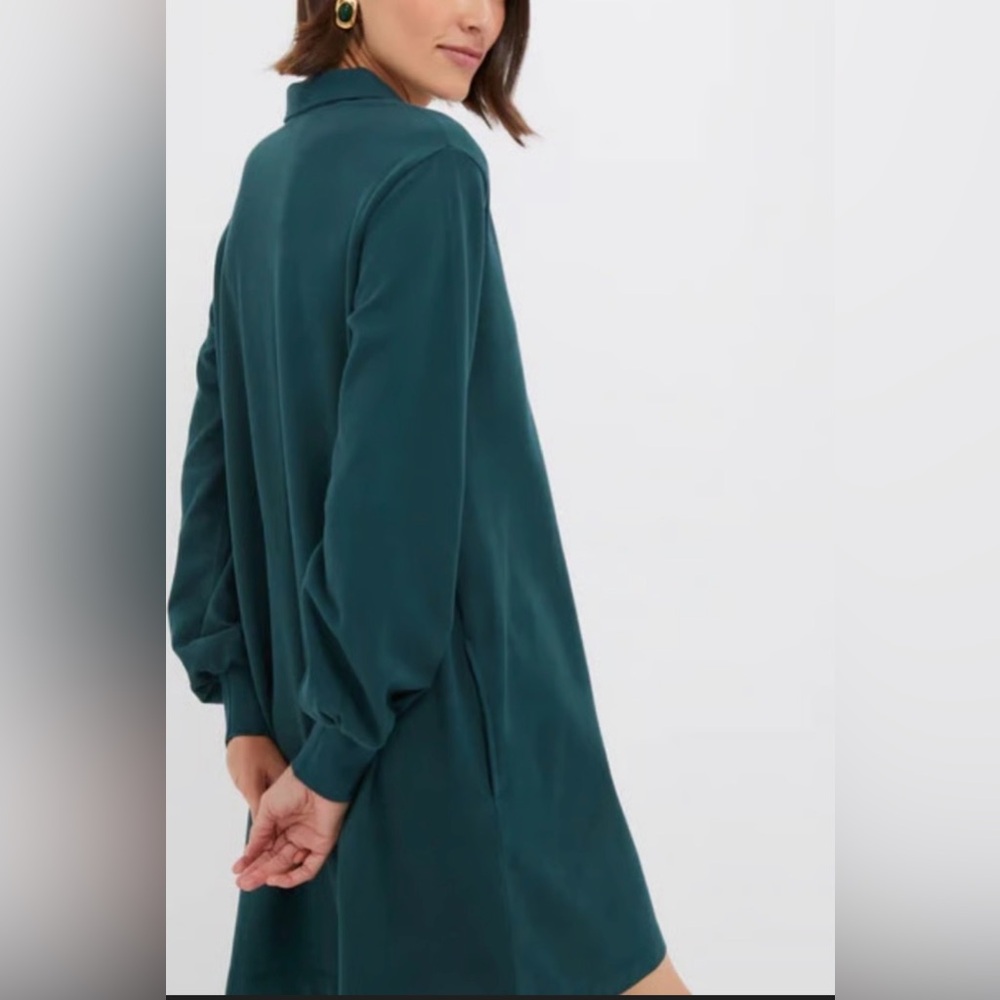 Tuckernuck June Bug Pique Frances Polo Dress - Picture 4 of 7